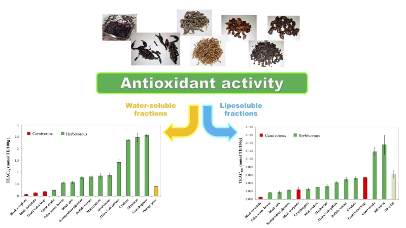 bugs antioxidants