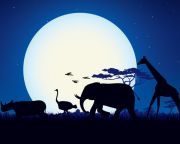  Állatkertek éjszakája - Tizenkét állatbemutató-hely készül programokkal