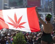 Kanadában kezdenek elfogyni a marihuánakészletek
