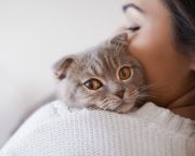 A macskatulajdonosok személyiségvonásai befolyásolhatják házi kedvencük viselkedését