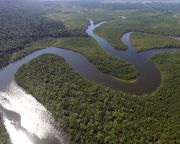 A világ leghosszabb folyóinak csupán egyharmada folyik szabályozatlanul