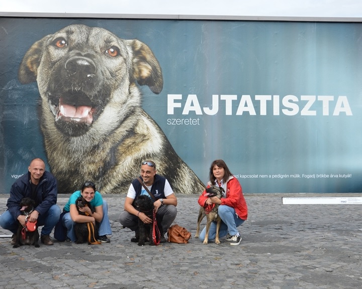  Bognár Lajos: az Agrárminisztérium évek óta kiemelt figyelmet fordít a felelős állattartás népszerűsítésére