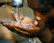 Víz Világtalálkozó - a vízválság irracionális viselkedésünk következménye
