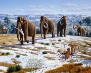 Becsapódás irtotta ki a mamutokat