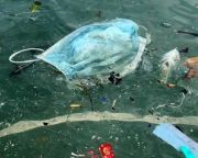 Eldobott gumikesztyűk és maszkok szennyezik a Földközi-tengert