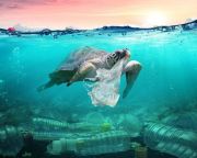 Több mint 1,3 milliárd tonna műanyagszemét halmozódhat fel a szárazföldön és az óceánokban 2040-ig 
