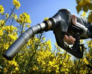 Évi 240 millió liter bioetanolt termel majd az új mohácsi üzem