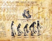 Elérhetővé vált az interneten Darwin A fajok eredete című munkájának két kézzel írt oldala