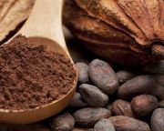 A kakaó flavonoidjai fokozhatják az agy oxigénellátását