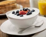 Joghurtbaktériumokkal a gyorsabb csontgyógyulásért?