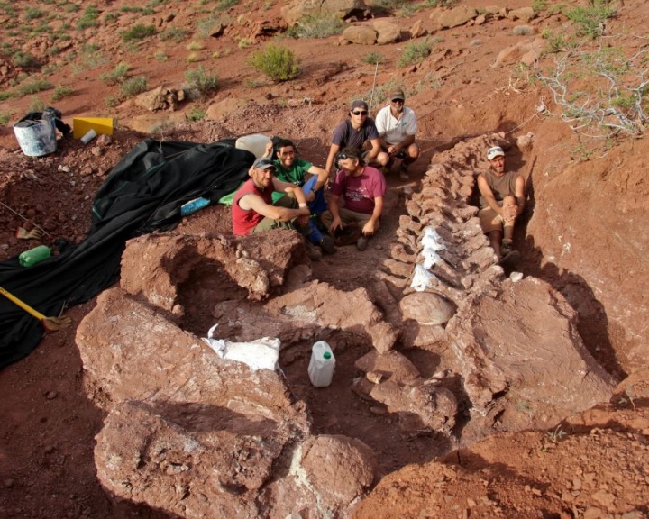 Gigantikus dinoszaurusz maradványait tárták fel Argentínában