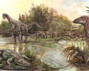 Száz éve elfeledett dinoszaurusz-lelőhelyeket fedeztek újra fel Erdélyben