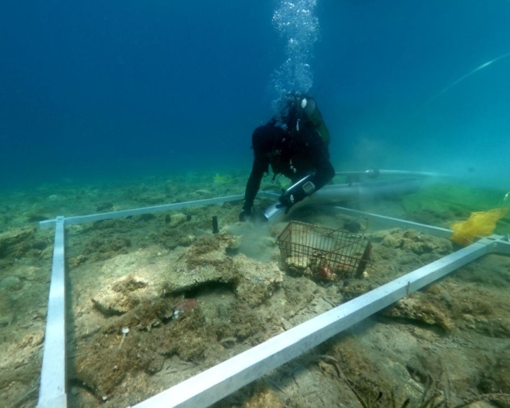 Újkőkori település maradványaira bukkantak horvát búvárok az Adriai-tengerben