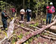 Műholdas technológia segíthet az őslakosoknak az erdőirtások megfékezésében