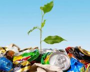 Díjnet: országosan elérhető az online hulladékgazdálkodási közszolgáltatás díjfizetés