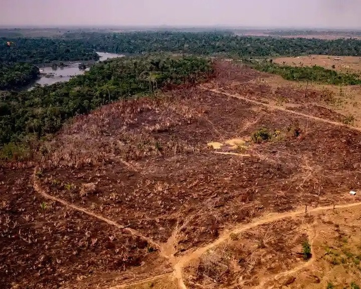 Évtizedes csúcsot ért el az erdőirtás az Amazonas brazíliai térségében