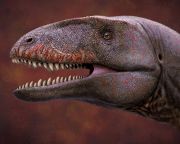 Új csúcsragadózó dinoszauruszfajt azonosítottak japán őslénykutatók