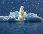 Évtizedekkel korábban kezdett melegedni a Jeges-tenger az eddig véltnél