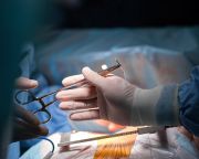 Vérellátó: 307 szervátültetés történt Magyarországon tavaly