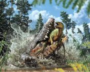 Dinoszauruszevő krétakori krokodil maradványait azonosították Ausztráliában