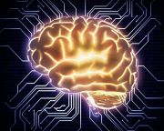 Az emberi agy kapcsolatainak leírását használták innovatív gépi tanulási módszerek teszteléséhez