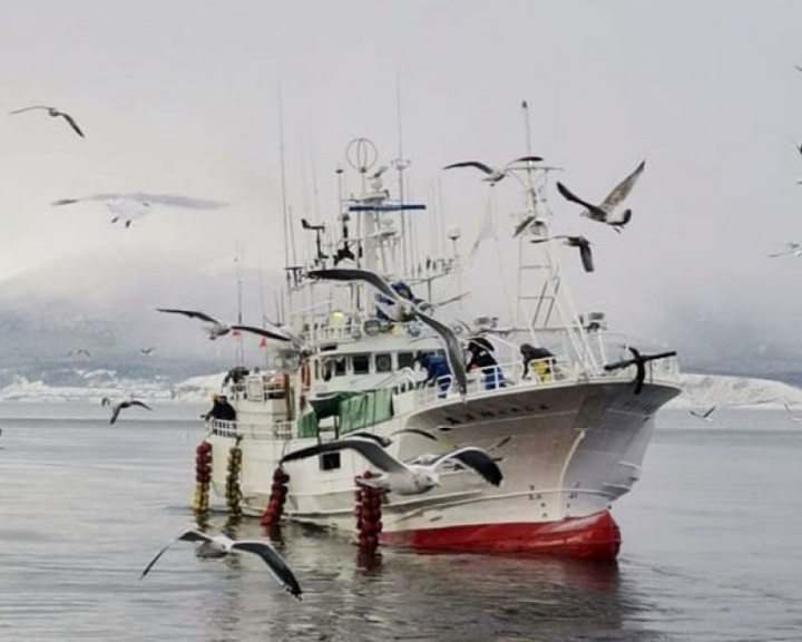 Moszkva felfüggeszti az orosz-japán halászati megállapodást