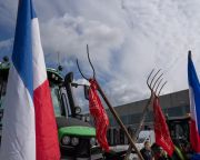 Ismét tüntetnek a holland gazdák