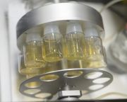 Először alkottak tudósok szintetikus embriót