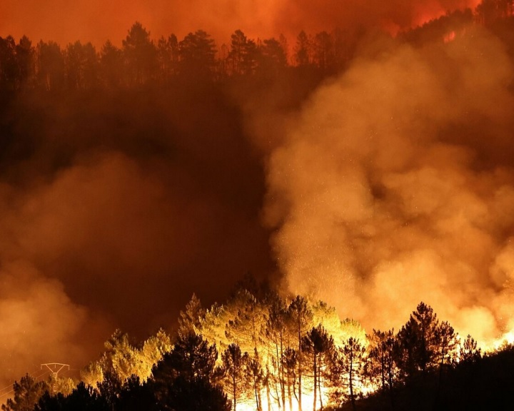 EB: az idei a legrosszabb év az erdőtüzek szempontjából 2006 óta Európában