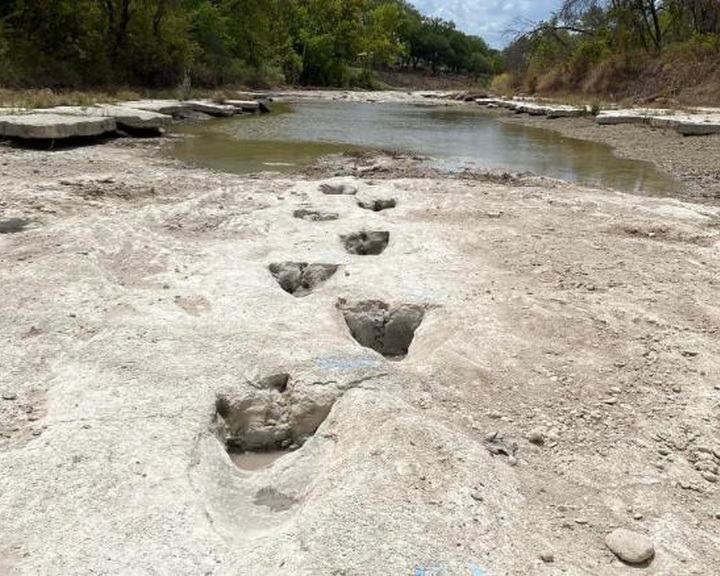 Szenzációs dinoszauruszleletet köszönhet Texas a rendkívüli szárazságnak 