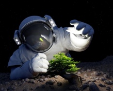 A Holdon akarnak növényt termeszteni ausztrál kutatók