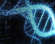 DNS tranzisztorok vezetnek az élő számítógépekhez