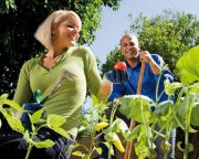 A kertészkedés csökkentheti az elhízás kockázatát
