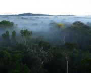 Láthatatlan tüzek pusztítanak az Amazonas esőerdeiben