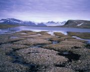 Felolvadhat a Északi-sarkkör fagyott talaja