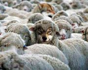 Netanjahu: Irán báránybőrbe bújt farkas