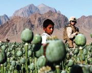Rekordon az ópiumtermelés Afganisztánban
