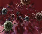 A T-sejtek jelentik a megoldást a rák ellen?