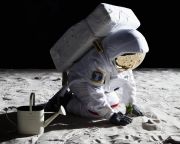 Növénytermesztésre készül a Holdon a NASA