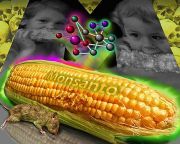GMO - a globalizmus atombombája