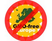 GMO: A Bizottságnak nincs joga visszavonni az engedélyezési javaslatot
