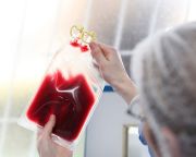 Indulhat az őssejtekből készült vér tesztelése