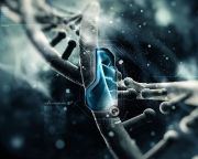 A DNS másolási hibáival harcolhatunk a rák ellen