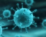 Influenza – Ismét megnyitottak az oltópontok országszerte
