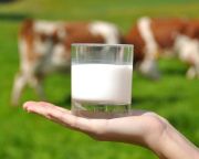 Rendkívüli ülést tartanak az EU-agrárminiszterek a tejárakról