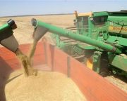 Bloomberg: Oroszország kiszorítja a gabonapiacról az USA-t