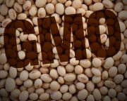 Rést nyitnának az uniós GMO-záron