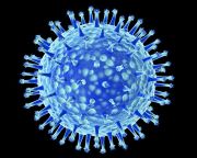 Veszélyes influenza vírust állították elő egy kutatólaborban