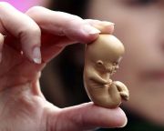 Emberi embriók génszerkesztéséhez kaptak engedélyt brit kutatók