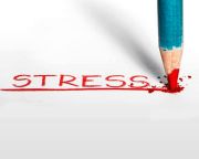 Feltárták a stressz szerepét szív- és érrendszeri betegségek előidézésében